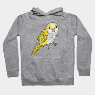 Yellow quaker parrot Hoodie